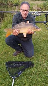 Mirror Carp