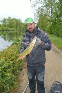 Northern Pike