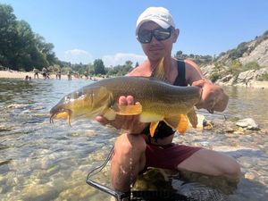 Barbel