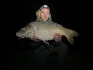 Mirror Carp