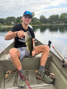 Largemouth Bass