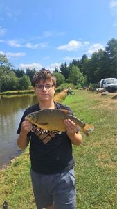 Common Bream