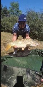 Common Carp