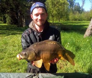Mirror Carp