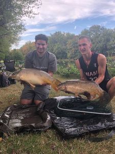 Common Carp