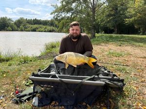 Mirror Carp