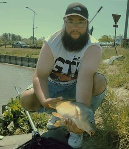 Mirror Carp