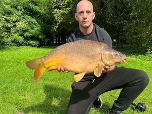 Mirror Carp