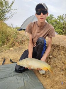 Mirror Carp