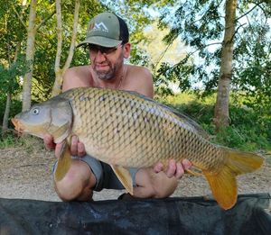 Common Carp