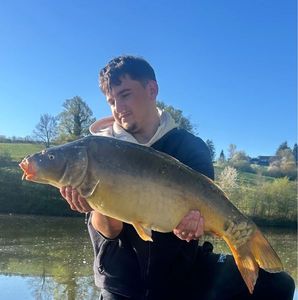 Mirror Carp