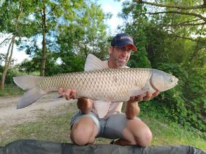 Grass Carp