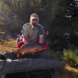 Mirror Carp