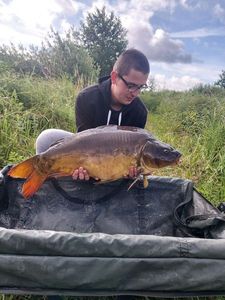 Mirror Carp