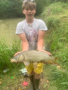 Common Carp
