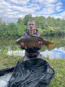 Mirror Carp