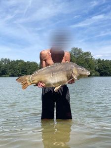 Mirror Carp
