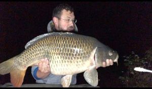 Common Carp