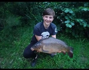 Common Carp