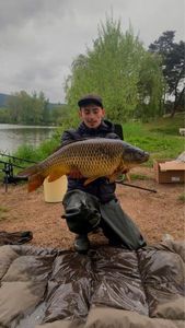 Common Carp