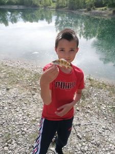 European Perch