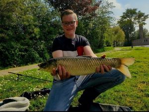 Grass Carp