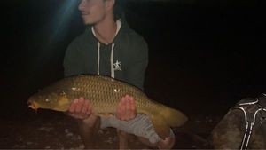 Common Carp