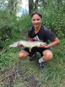 Northern Pike
