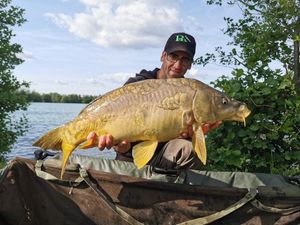 Mirror Carp