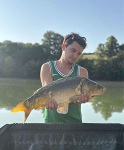 Mirror Carp