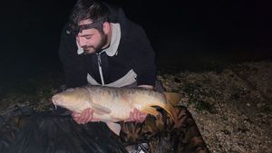 Mirror Carp