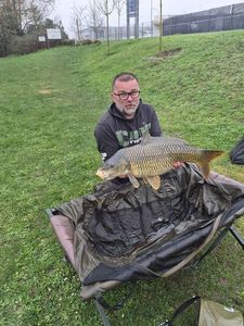Common Carp