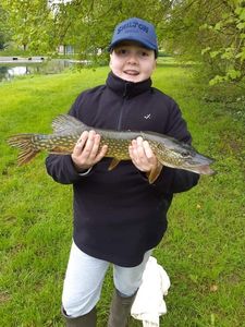 Northern Pike
