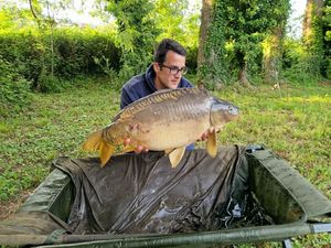 Mirror Carp