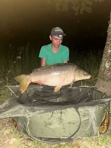 Mirror Carp