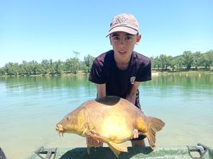 Mirror Carp