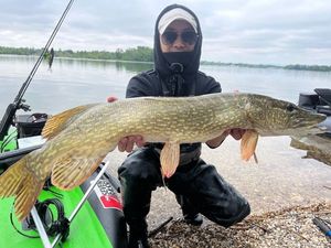 Northern Pike