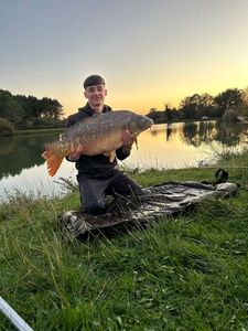 Mirror Carp