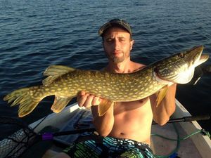 Northern Pike