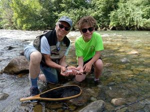 Brown Trout