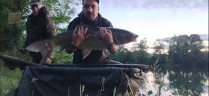 Grass Carp