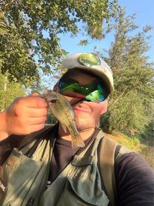 Largemouth Bass