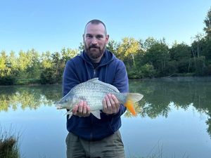 Crucian Carp