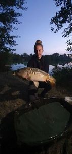 Mirror Carp