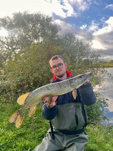 Northern Pike