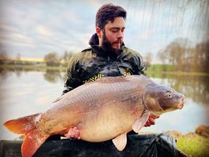 Mirror Carp