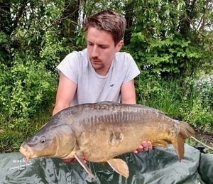 Mirror Carp