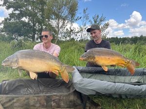 Mirror Carp