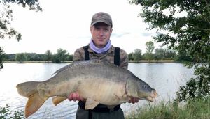 Mirror Carp