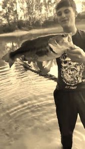 Largemouth Bass